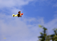 Bi-plane